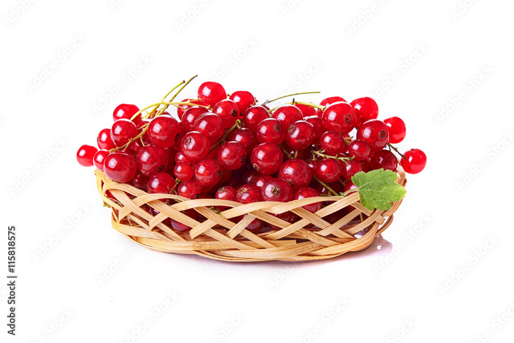 red currant red currant