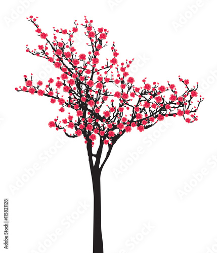 One pink full bloom sakura tree (Cherry blossom) isolated on white background