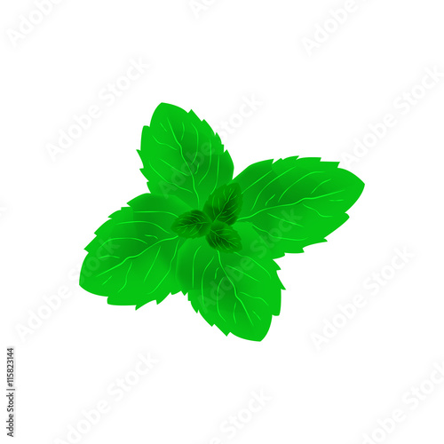mint