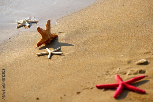 Star on beach