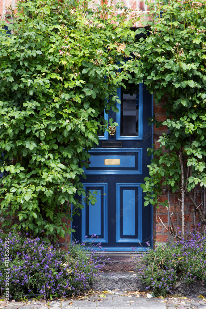 beautiful blue front door in an old brick house overgrown with climbing plants beautiful blue front door in an old brick house overgrown with climbing plants