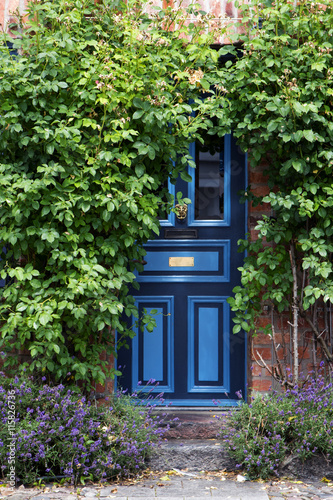 beautiful blue front door in an old brick house overgrown with climbing plants