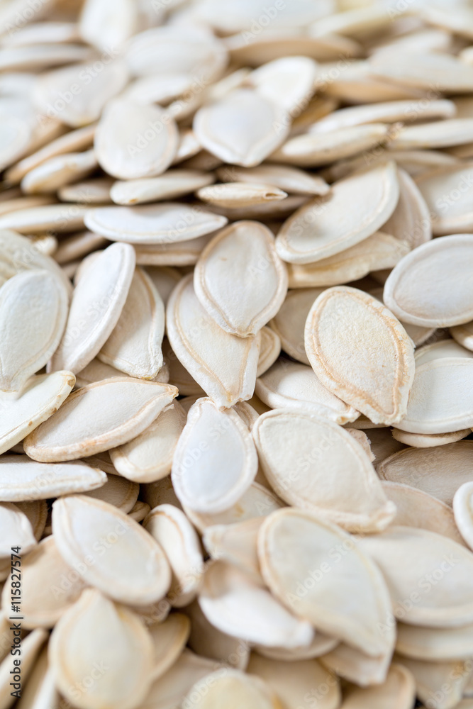 pumpkin seeds pumpkin seeds