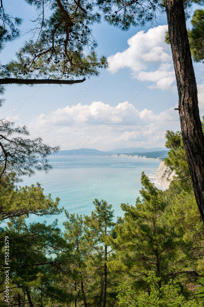 View from forest to the sea in mid day.