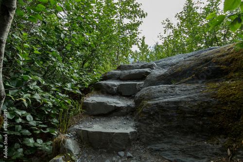 Exit Glacier in Seward Alaska