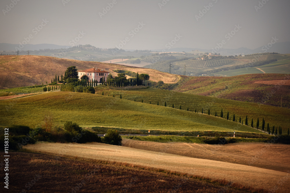 Summer landscape in Tuscany