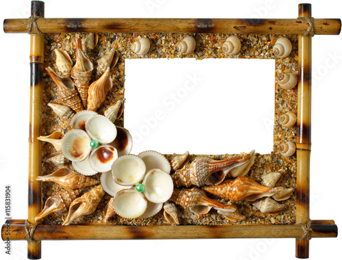 Obraz na plátne Photoframework from sea cockleshells on white background
