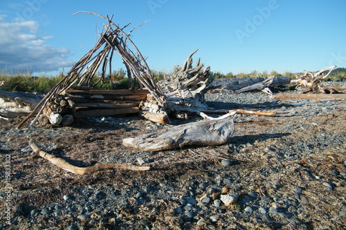 Driftwood Shelter on a Sandy Beach