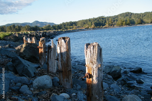 Row of Old Pier Piles with Rusty Bolts