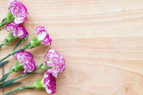 Pink carnations on wooden background