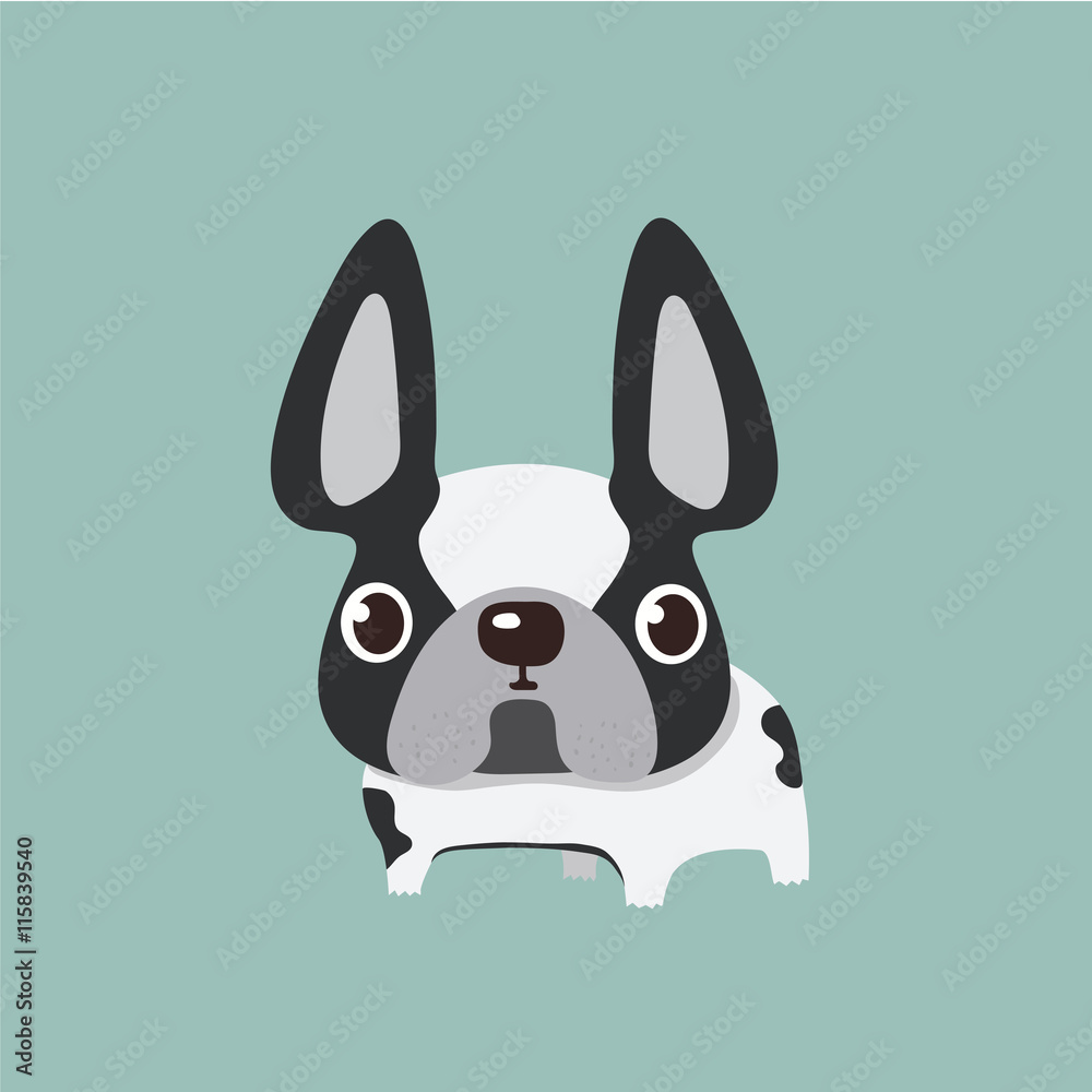 Obraz premium french bulldog design, pet and animal concept