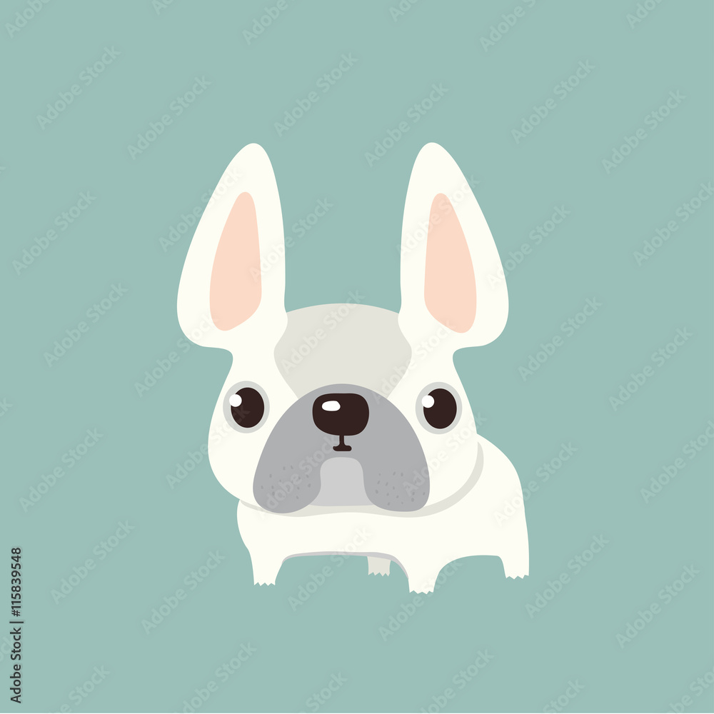 Fototapeta premium french bulldog design, pet and animal concept