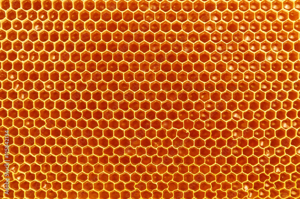 fresh honey in cells, honeycomb