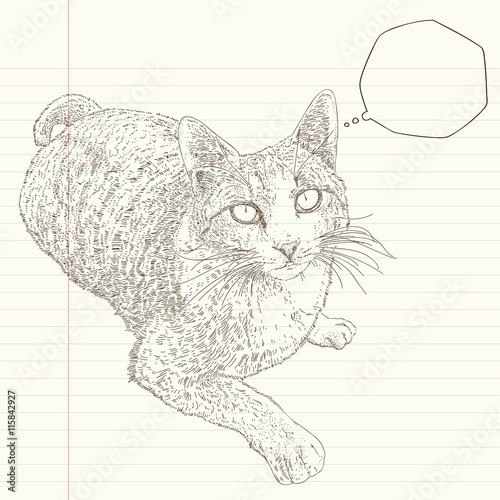 sitting cat, lovely cat is watching you