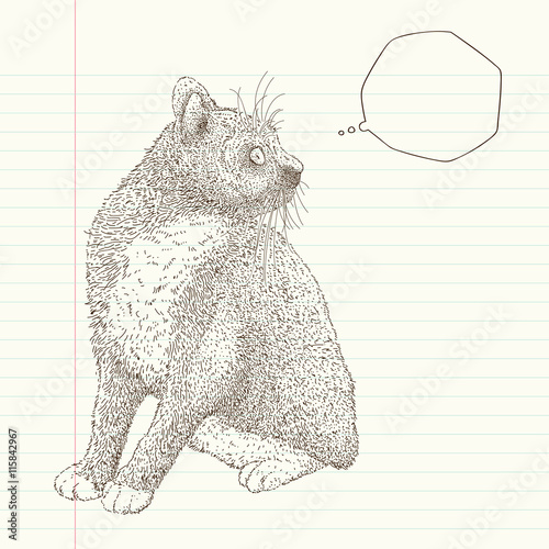 cats who got a bit startled