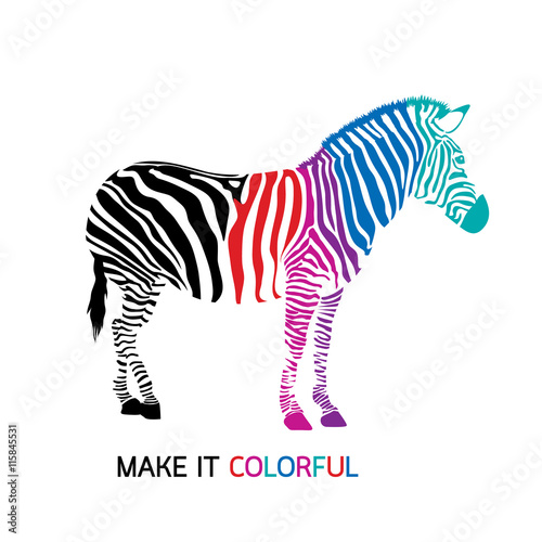 Make zebra colorful. Vector illustration isolated on white background.