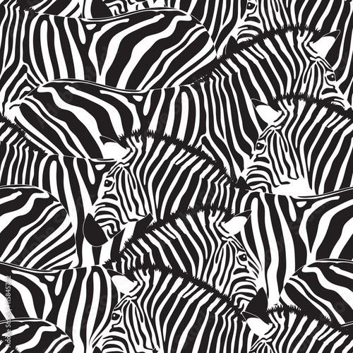 Zebra seamless pattern. Savannah Animal ornament. Wild animal texture. Striped black and white. design trendy fabric texture, vector illustration.