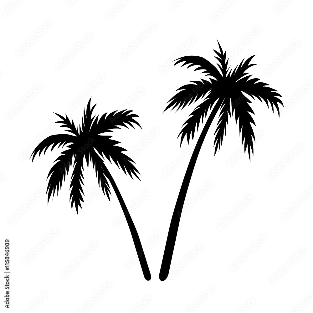 Coconut Tree Black And White