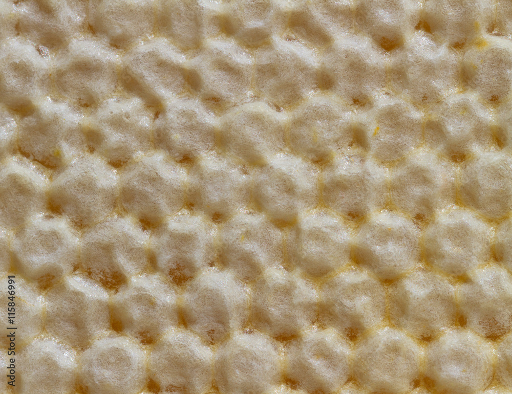 Honeycomb for background. Honeycomb for background.