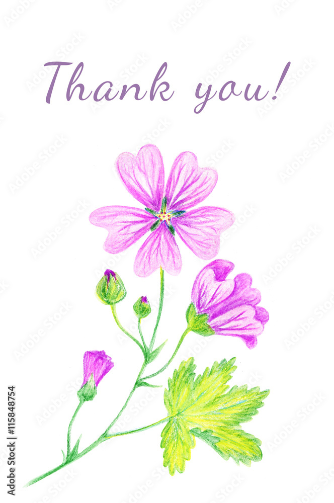 Set of greeting cards. Hand-drawn Flowers mallow. Thank you!