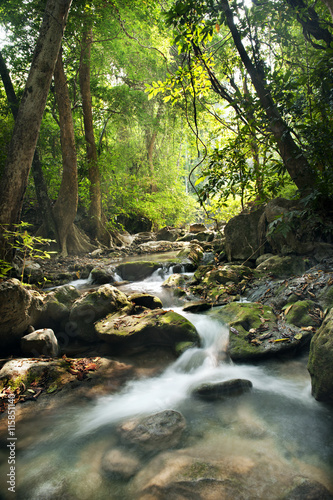 waterfall in deep forest on mountain