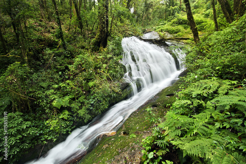 Fototapeta Naklejka Na Ścianę i Meble -  waterfall in  deep forest on mountain