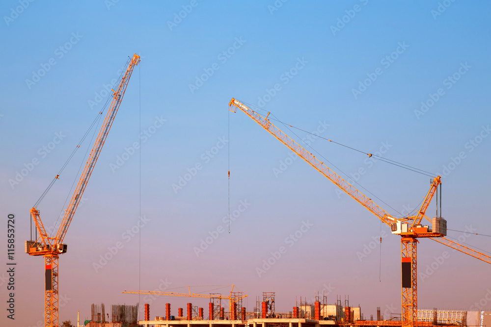 Industrial construction crane 