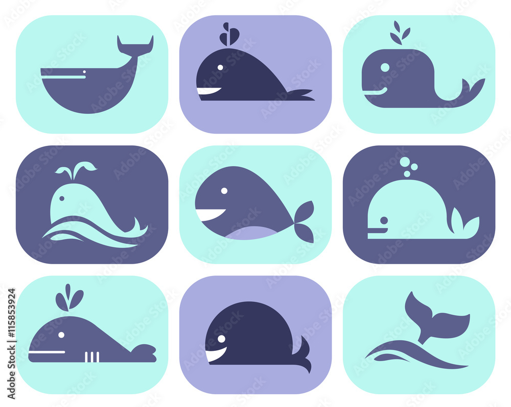 Collection of Whale Icons