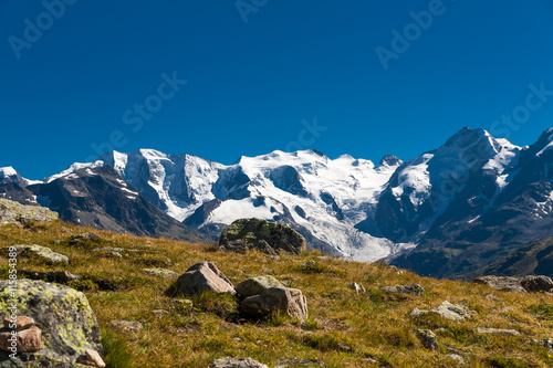 Piz Bernina and Morteratsch glacier, view from Paradis Hutte, Engadin, Switzerland photo