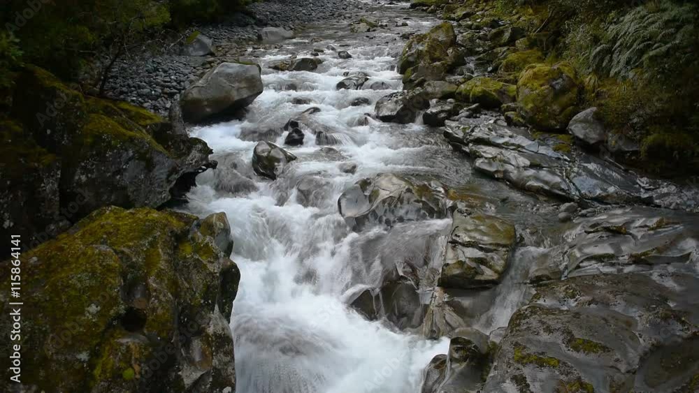 Swift current mountain stream. Rapid water torrent flowing over rocks. Dynamic nature scene. Fiorland National Park, Milford Sound, New Zealand Swift current mountain stream. Rapid water torrent flowing over rocks. Dynamic nature scene. Fiorland National Park, Milford Sound, New Zealand