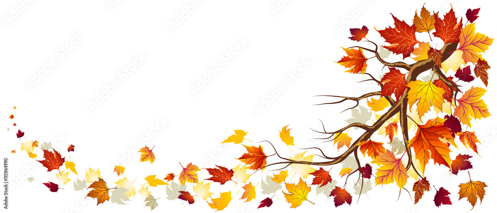 Branch With Autumn Leaves In Falling
 - obrazy, fototapety, plakaty 