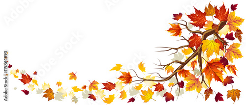 Branch With Autumn Leaves In Falling 
