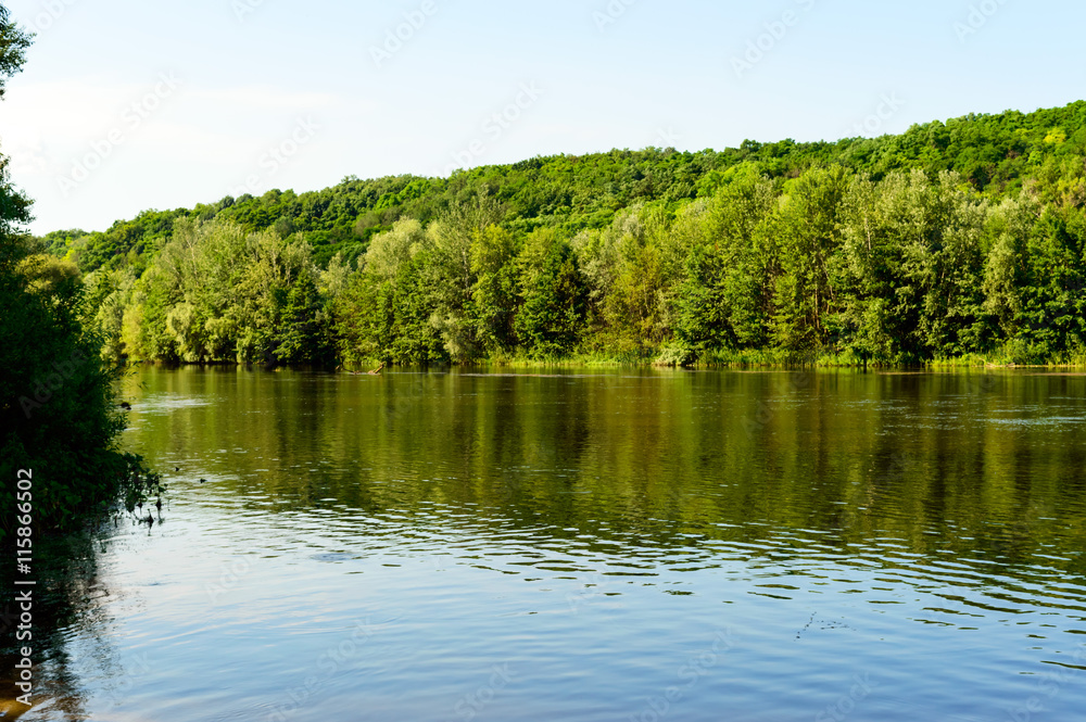 A view of the river and the green dense deciduous forest
