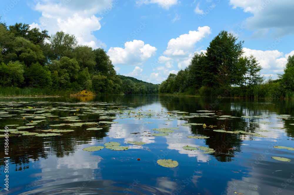 Obraz premium Lake View (River). On the banks of the green dense forest
