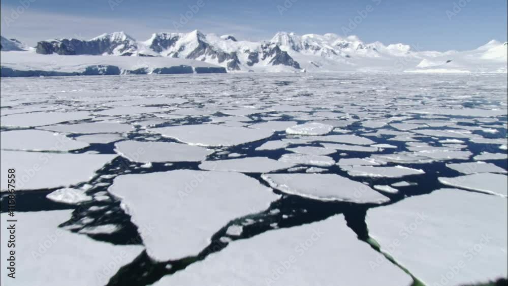 Ice floes on water