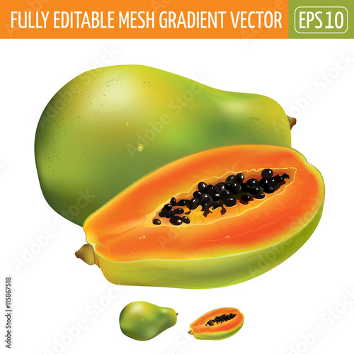 Papaya on white background. Vector illustration