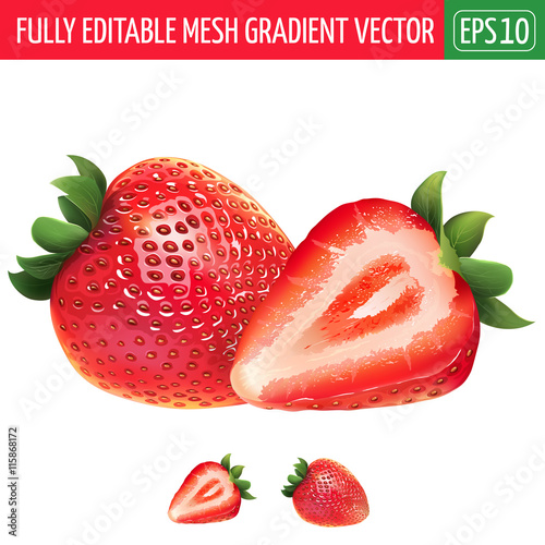 Strawberry on white background. Vector illustration
