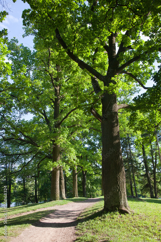 Gatchina. Leningrad region. Park ensemble in Gatchina.