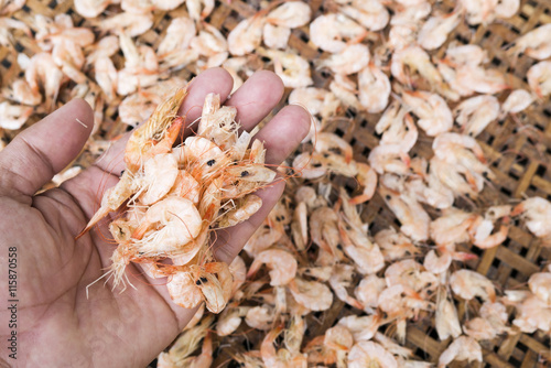 dried shrimp on hand