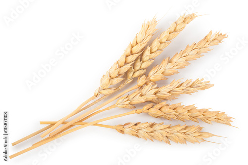 Ears of wheat