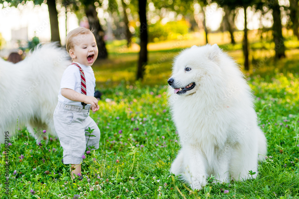 Little boy is standing with a white dog summer day in the park Little boy is standing with a white dog summer day in the park