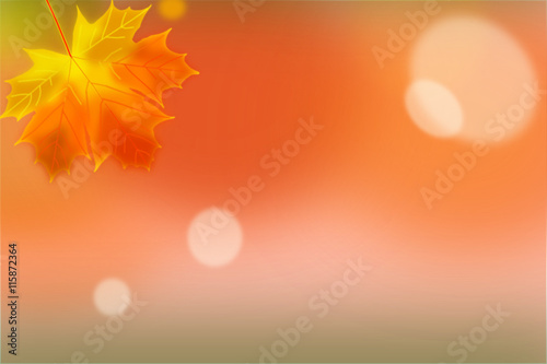 Ahornblatt - Herbst - Vektor