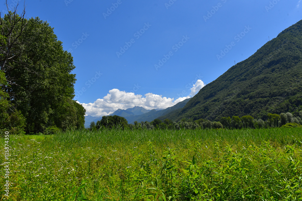 Prato verde e cielo blu con nuvole