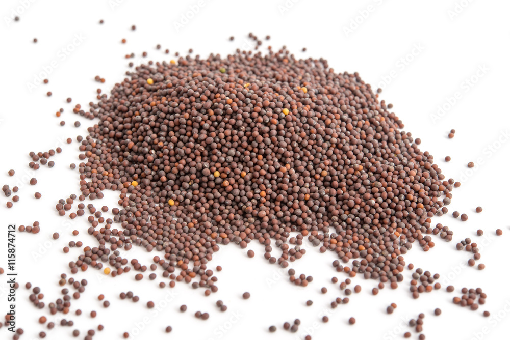 Braune Senfkörner Braune Senfkörner