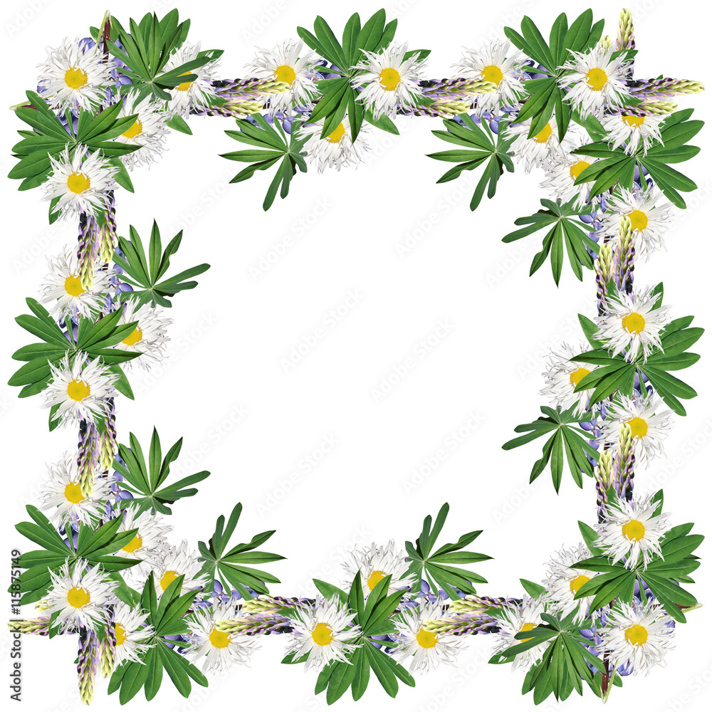 Fototapeta premium Beautiful floral background of blue lupine and daisies 
