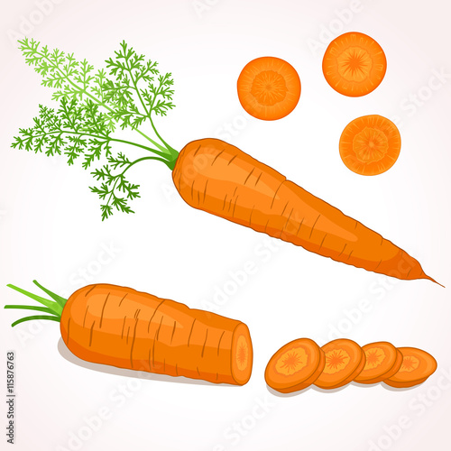 Vector illustration of carrot with tops. Sliced carrots. Pieces of carrots.