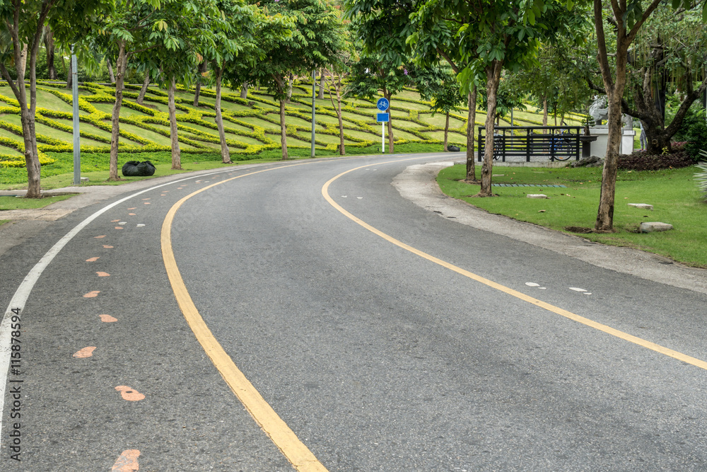 Road in the park Road in the park