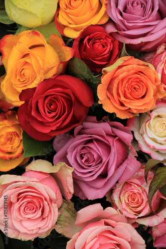 Multicolored wedding roses