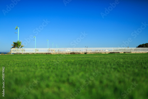 Green grass and white fence on the sea shore