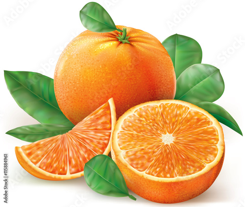 Group oranges fruits